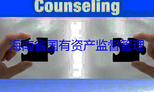 有福接受审理委员会党资产监督管海南省国有查调查委副书记王